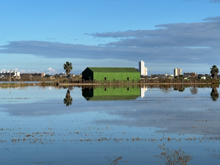 L'Albufera de Valencia