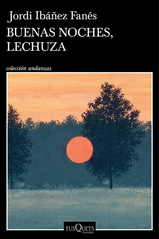 Buenas noches lechuza