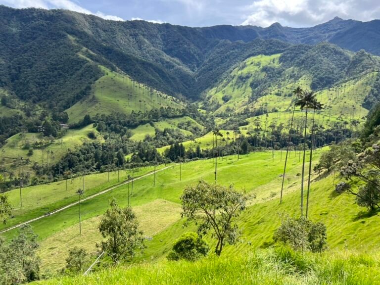 Valle del Cocora