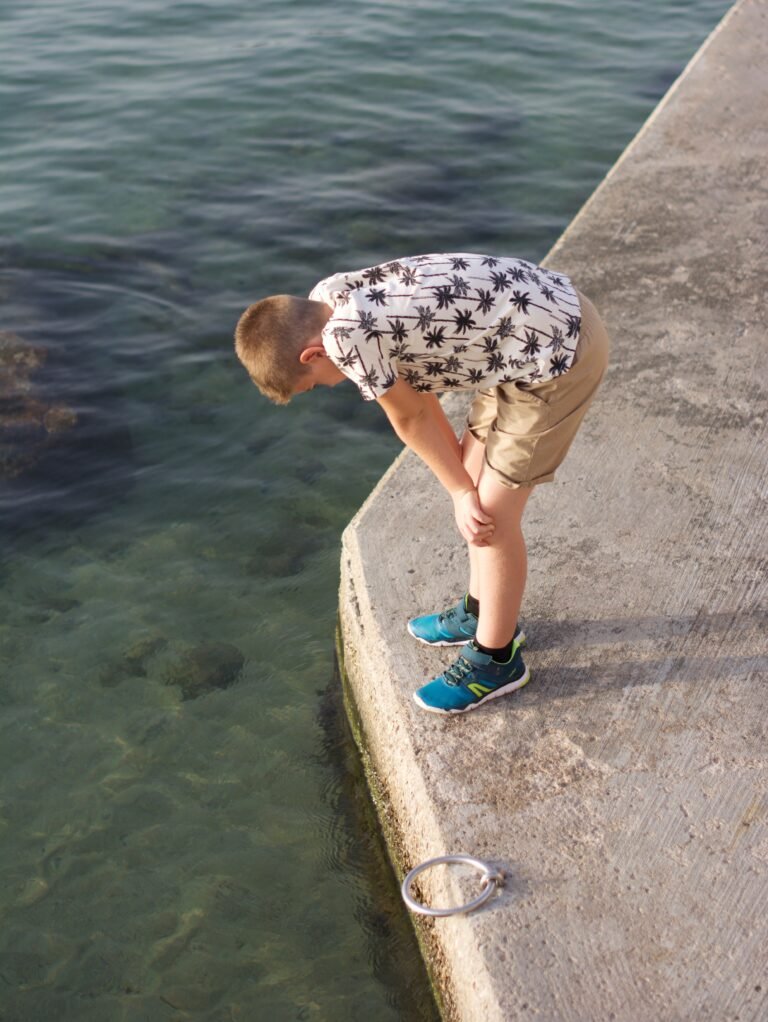 ¿Qué cámara me compro?