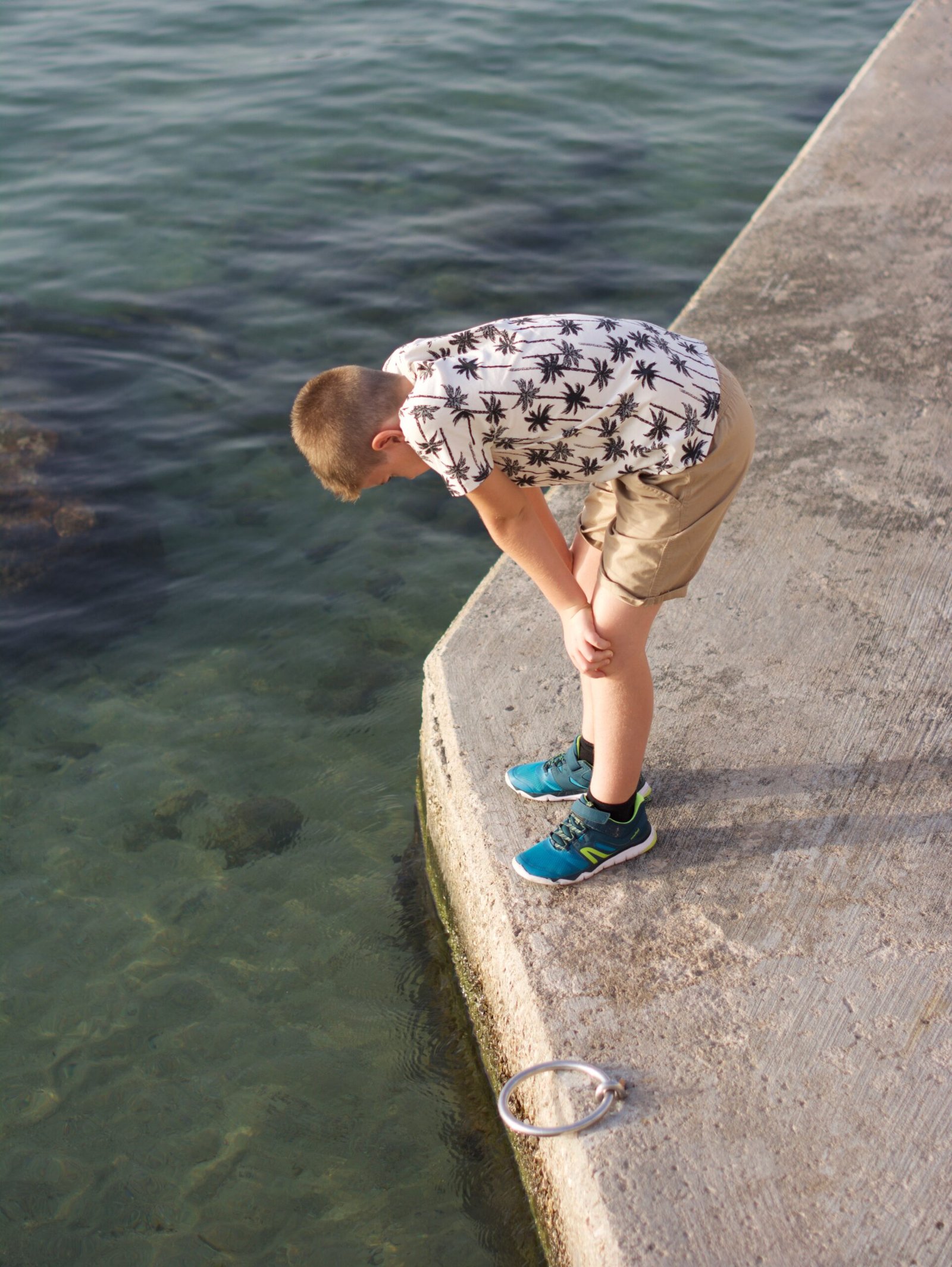 ¿Qué cámara me compro?