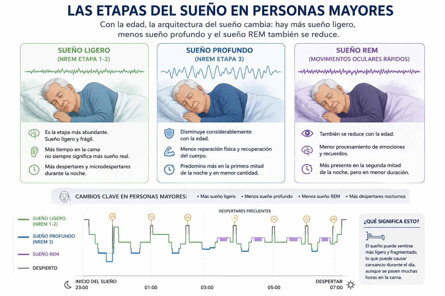 Las etapas del sueño en personas mayores